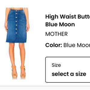 Mother button up skirt